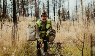 métier technicien eaux et forêts