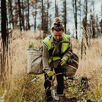 technicien eaux et forets