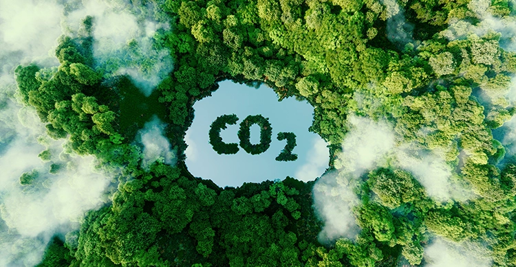 Qu'est-ce qu'un bilan carbone neutre et comment l'obtenir ? - Institut  Supérieur de l'Environnement - ISE