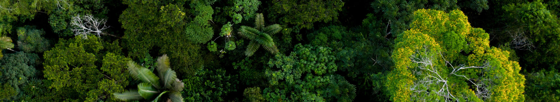 Définir une politique Biodiversité