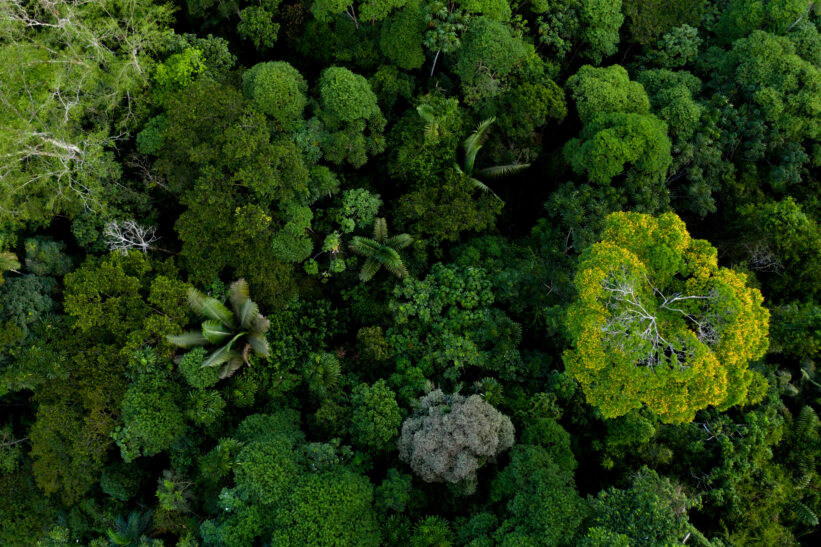 Définir une politique Biodiversité