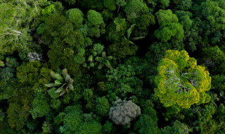 formation biodiversité à distance