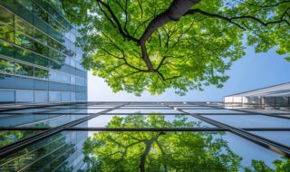 loi bâtiment durable
