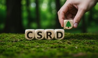 formation csrd